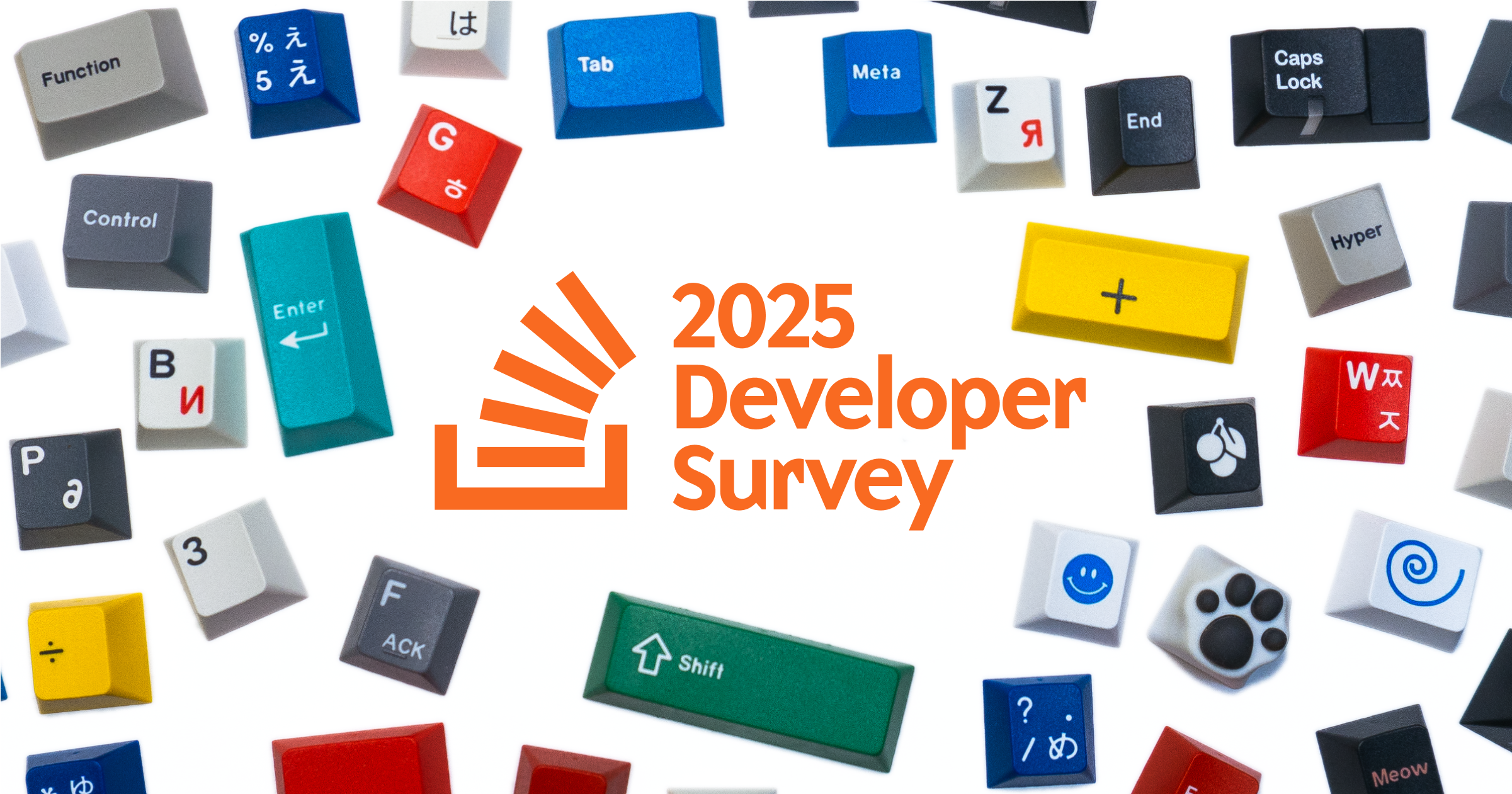 2025 Stack Overflow Developer Survey